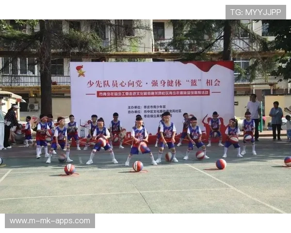 篮球在中国青少年自媒体表达训练中的题材应用研究，青少年篮球发展意义